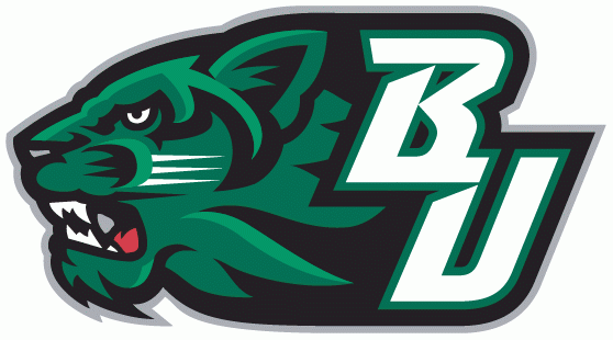 Binghamton Bearcats 2001-Pres Secondary Logo t shirts iron on transfers v3
